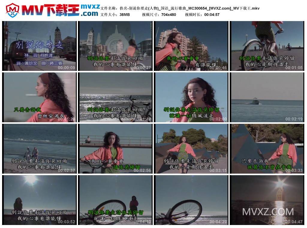 佚名-别说你要走(人物)_国语_流行歌曲_MC300654